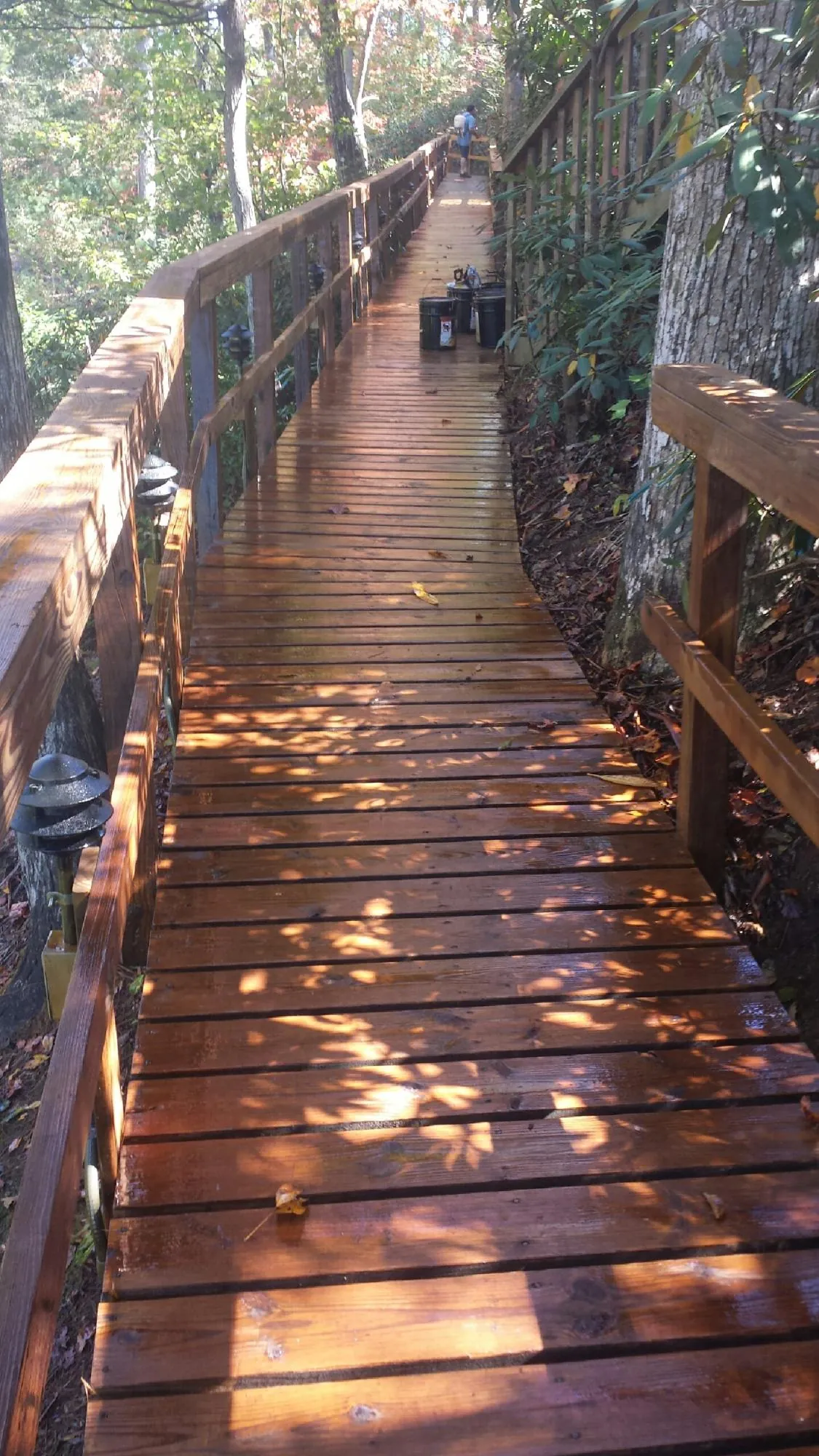 Freshly stained wood walkway winding through the woods in Williamstown